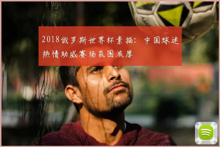 2018俄罗斯世界杯素描：中国球迷热情助威赛场氛围浓厚
