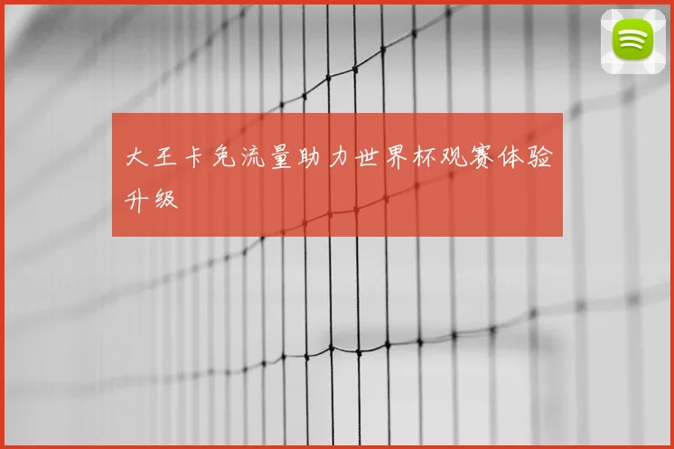 大王卡免流量助力世界杯观赛体验升级