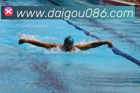 世界杯官方网络平台发展历程